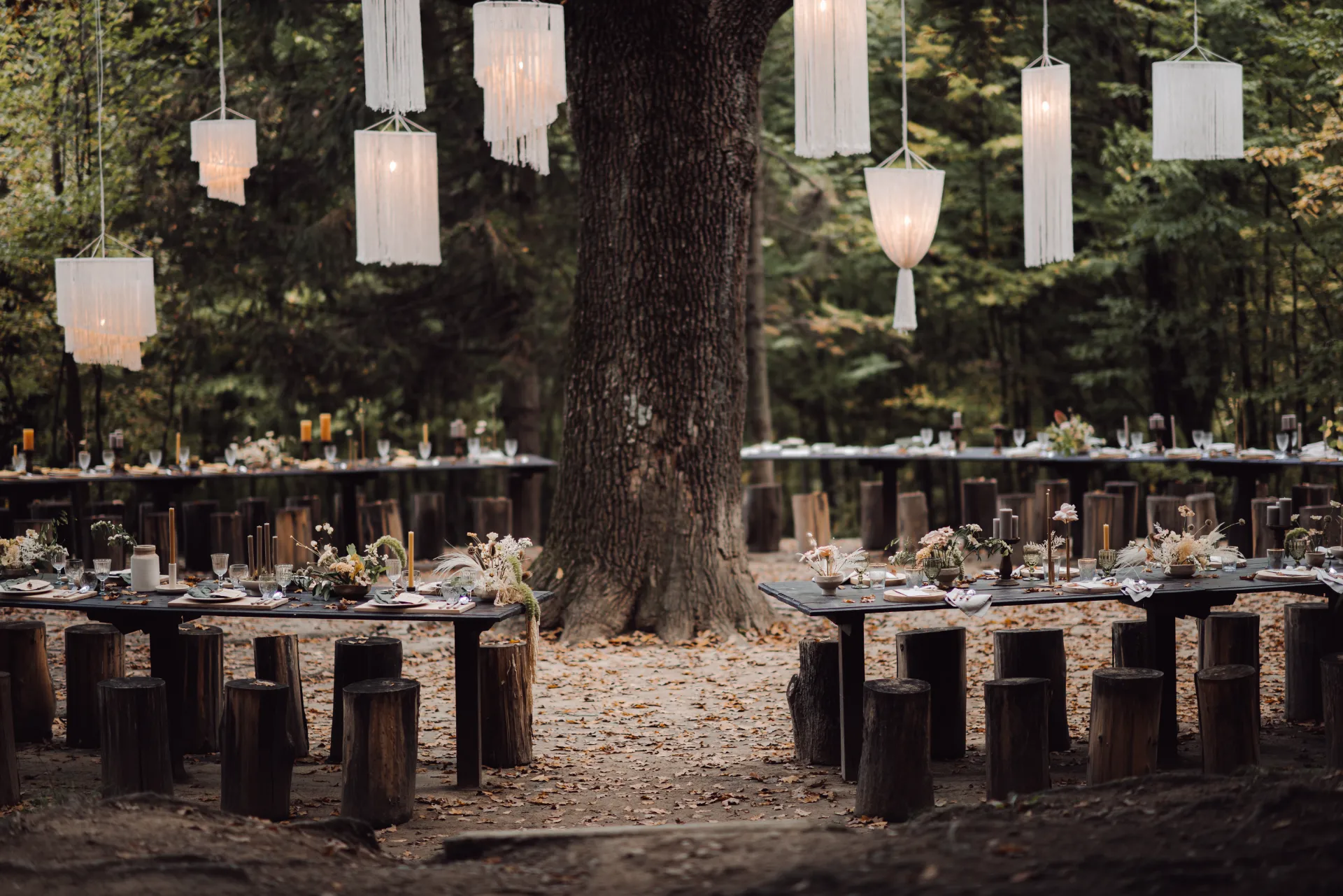 beautifully-designed-wedding-ceremony-forest (1)