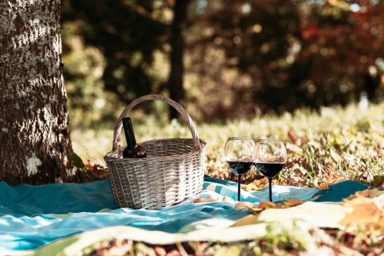basketblanketwine-glasses-yellow-autumn-leavesnext-tree-cozy-autumn-picnic-park-nice-sunny-autumn-daycopy-spacetoned